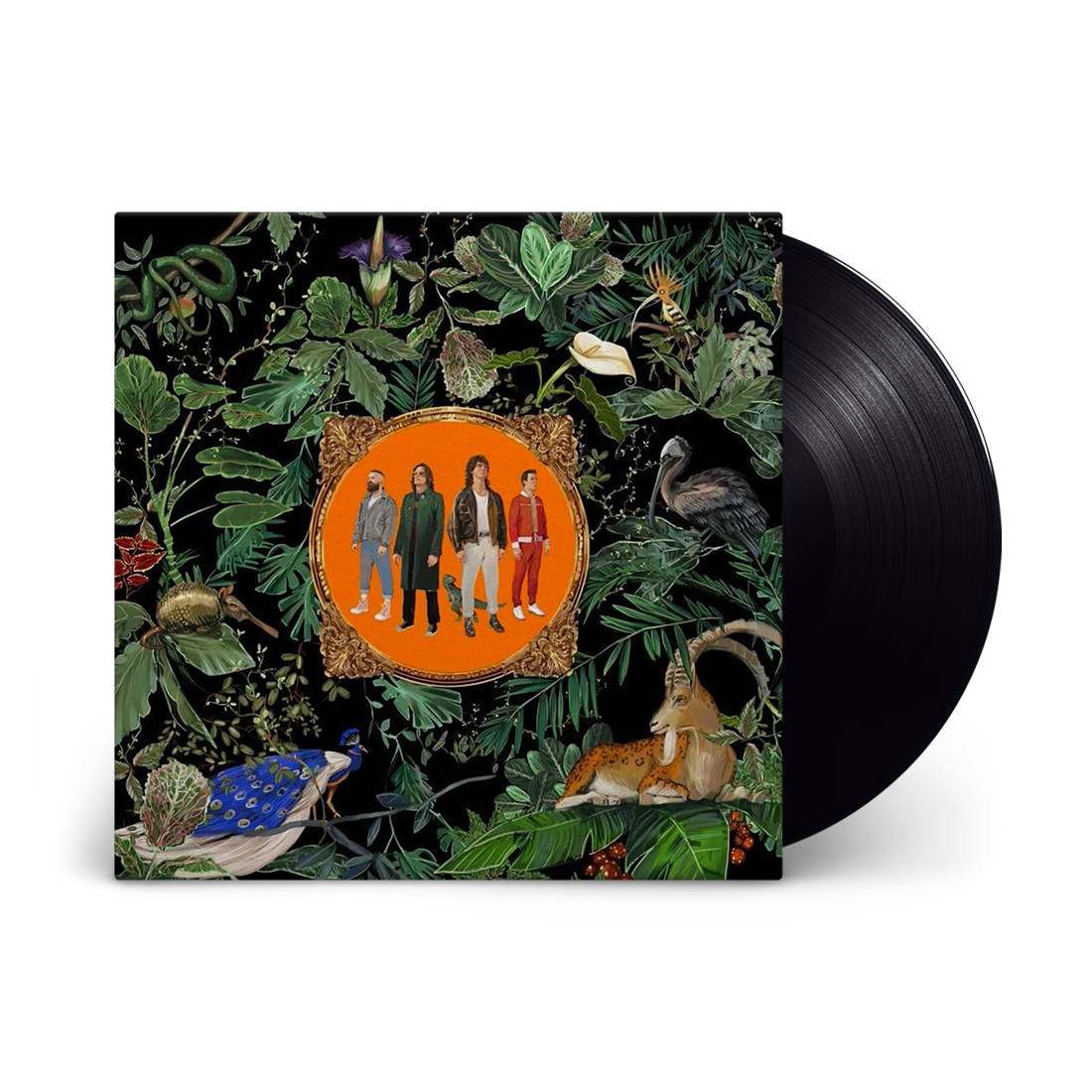Don Broco - Amazing Things: Vinyl LP