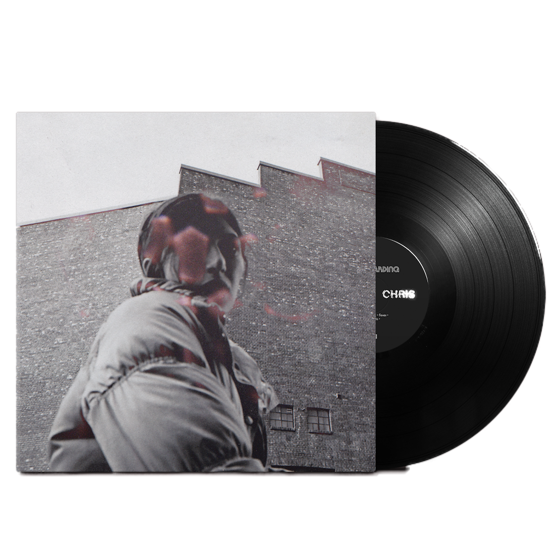 Aldous Harding - Warm Chris: Vinyl LP