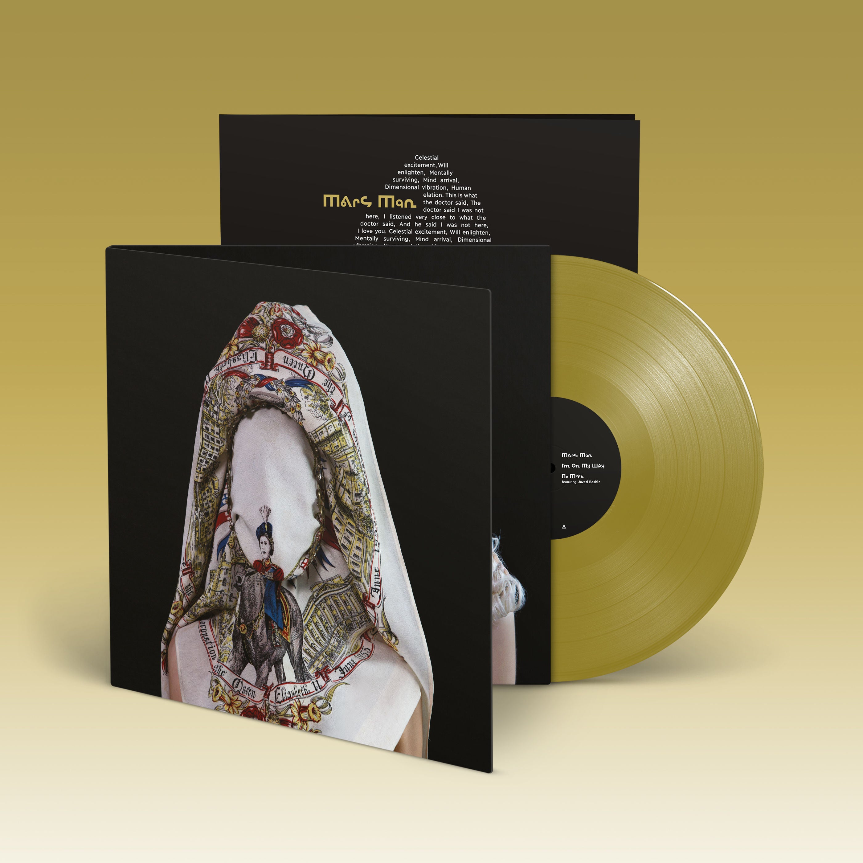 Steve Mason - Brothers & Sisters: Gold Colour Vinyl 2LP
