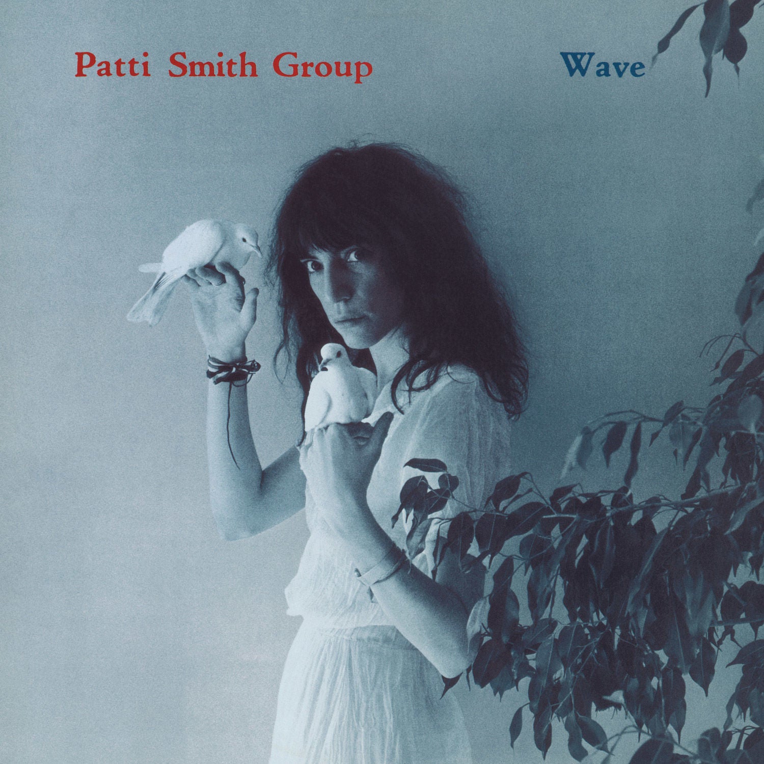 Patti Smith Group - Wave: Vinyl LP