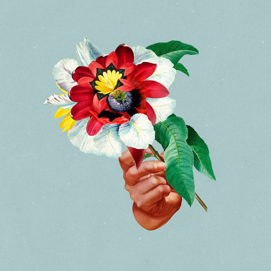 Maribou State - Kingdoms In Colour: CD