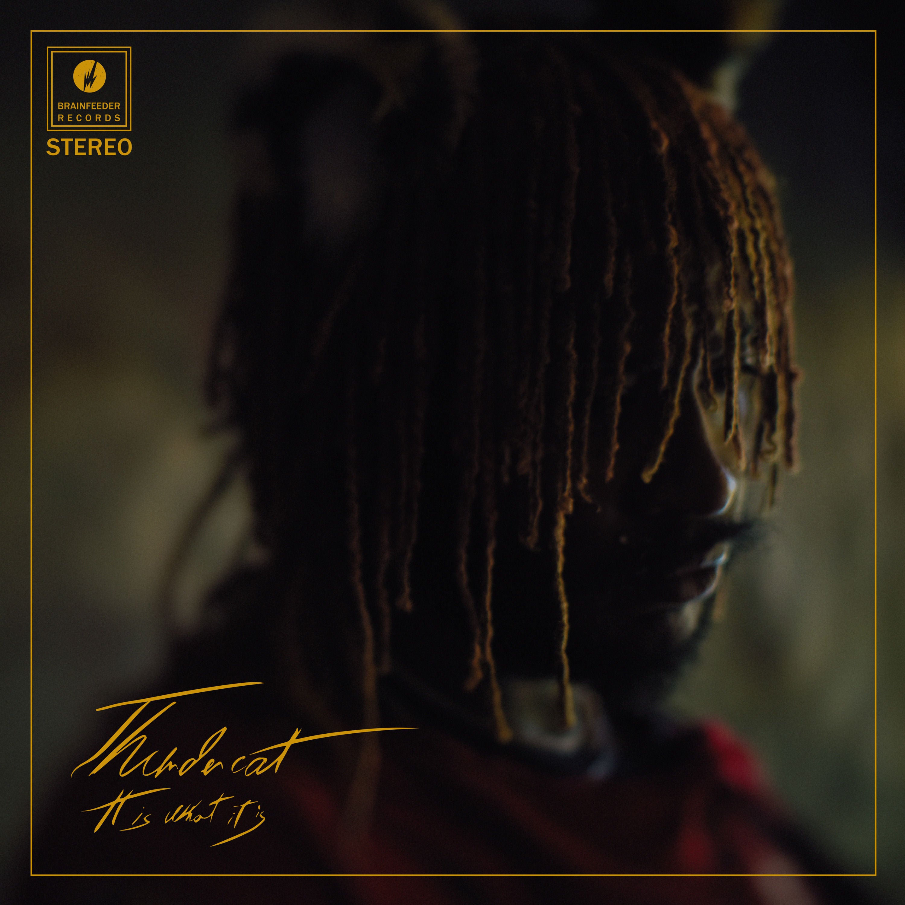 Thundercat - It Is What It Is: CD