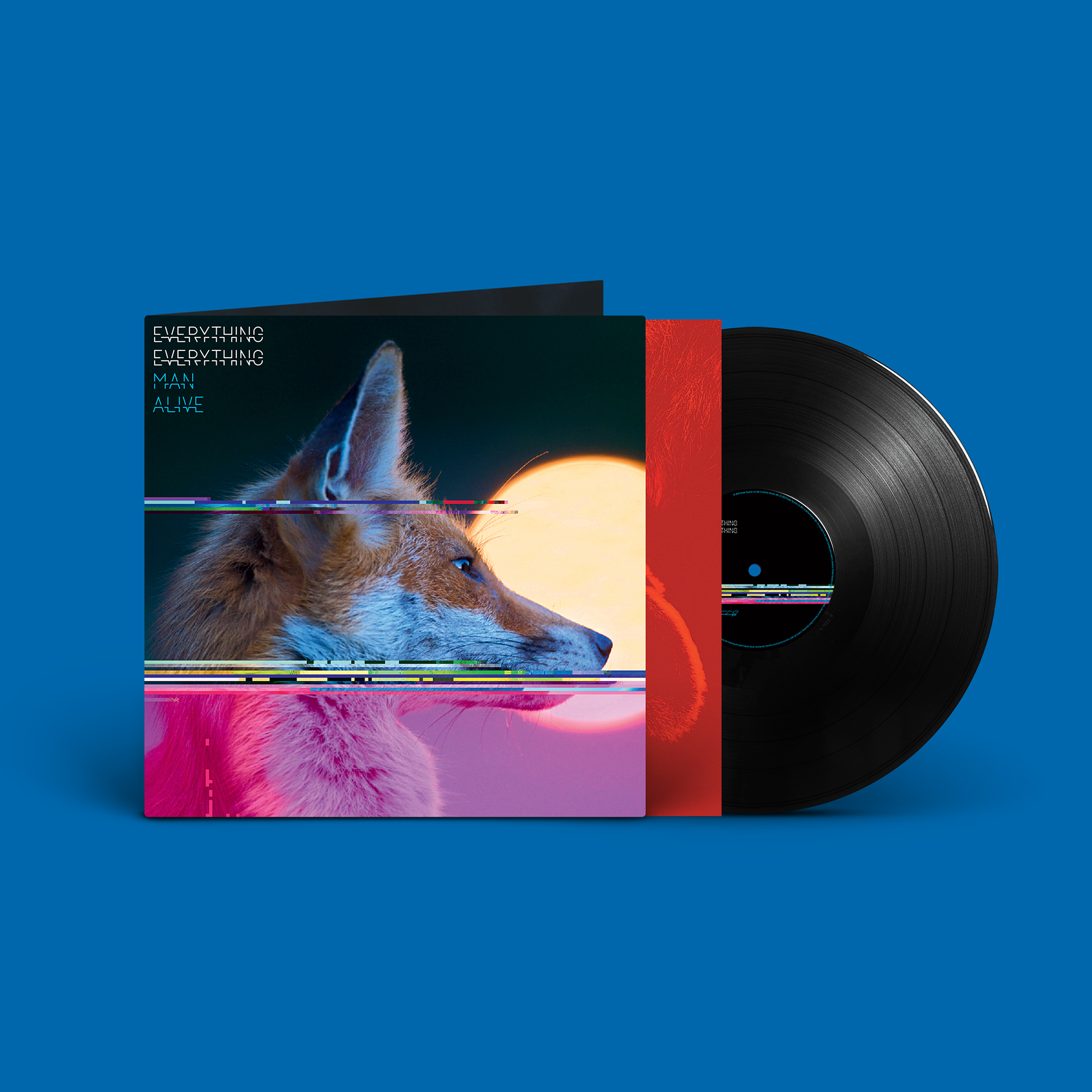 Everything Everything - Man Alive: Vinyl LP - Recordstore