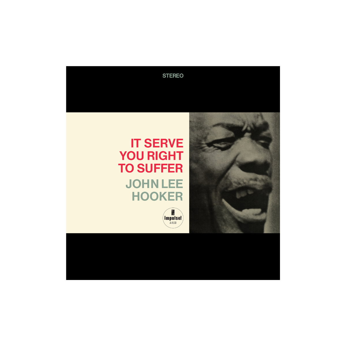 John Lee Hooker - It Serves You Right To Suffer (Acoustic Sounds)