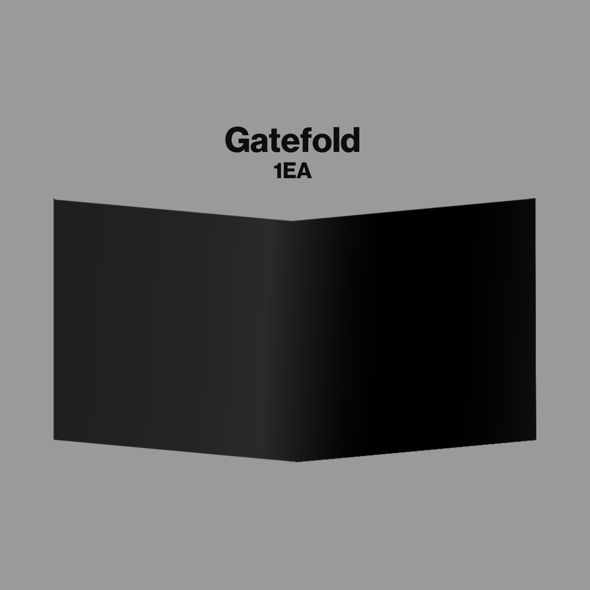 KATSEYE - WILD Vinyl