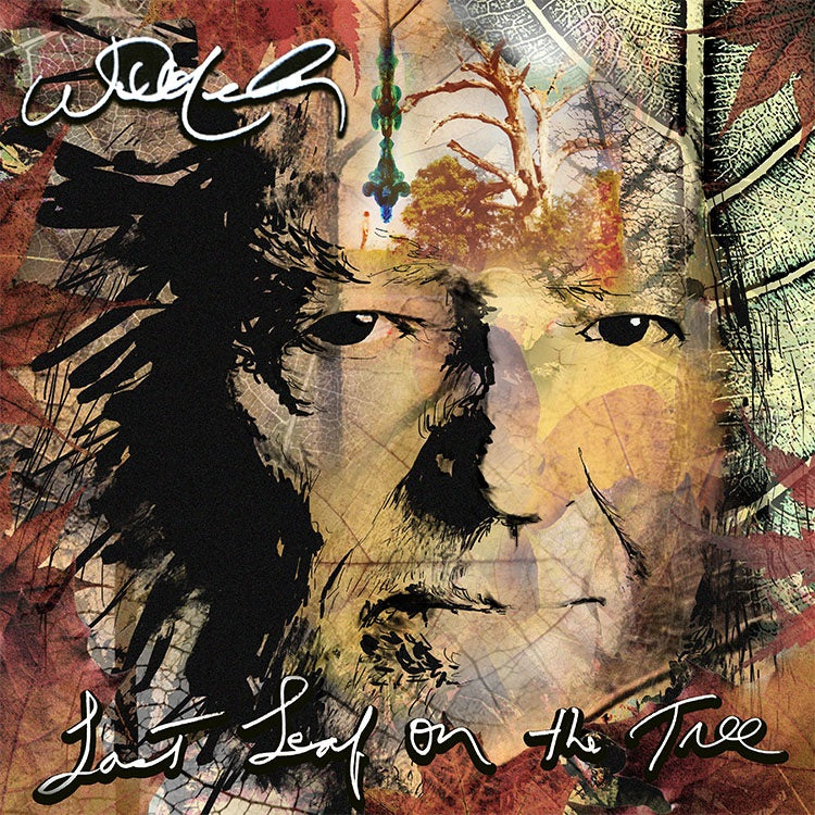 Willie Nelson - Last Leaf of the Tree: Amber Vinyl 2LP