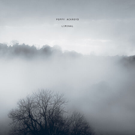 Poppy Ackroyd - Liminal: Vinyl LP