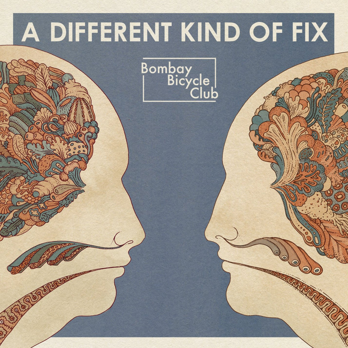 Bombay Bicycle Club - A Different Kind Of Fix: Vinyl LP