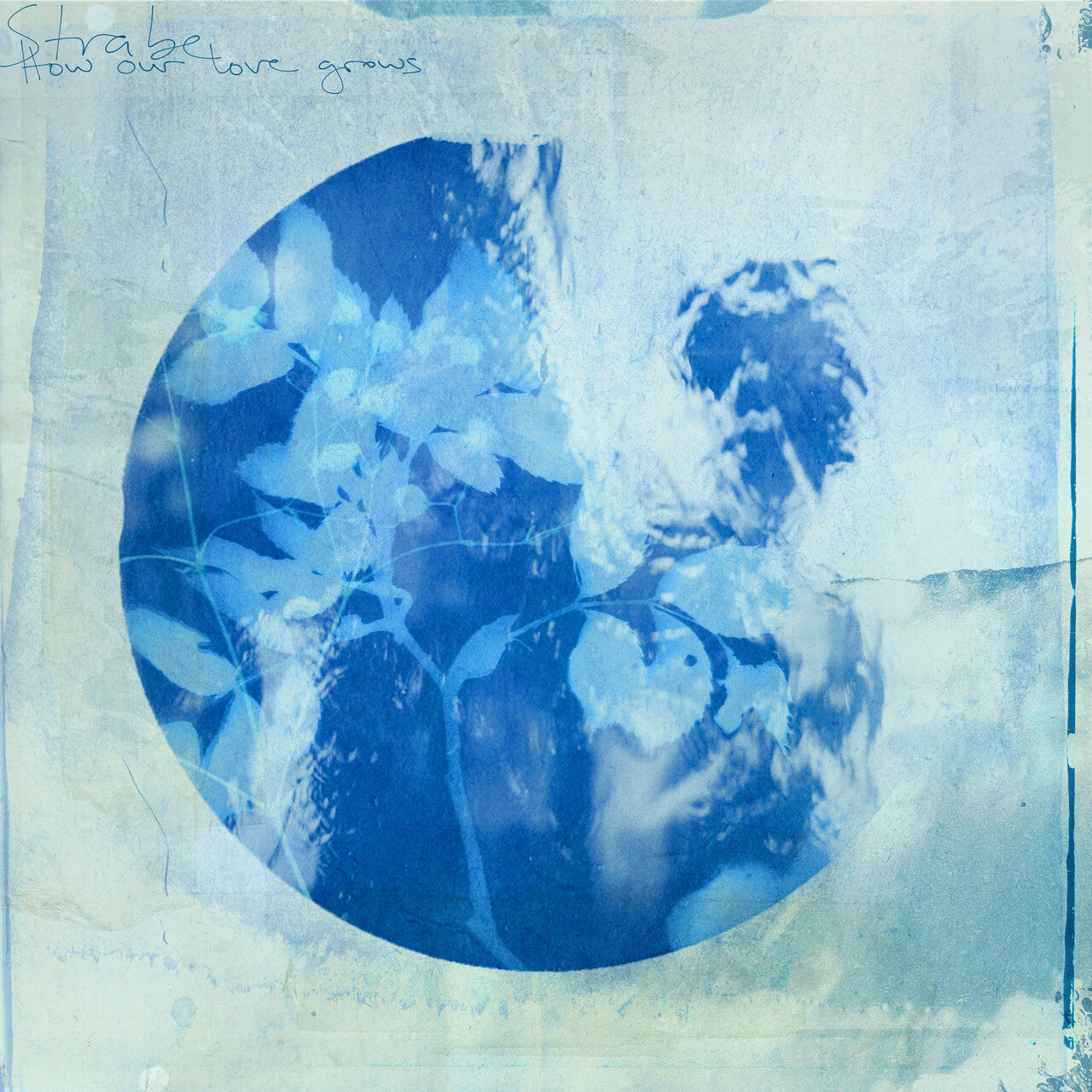 STRABE - How Our Love Grows: CD