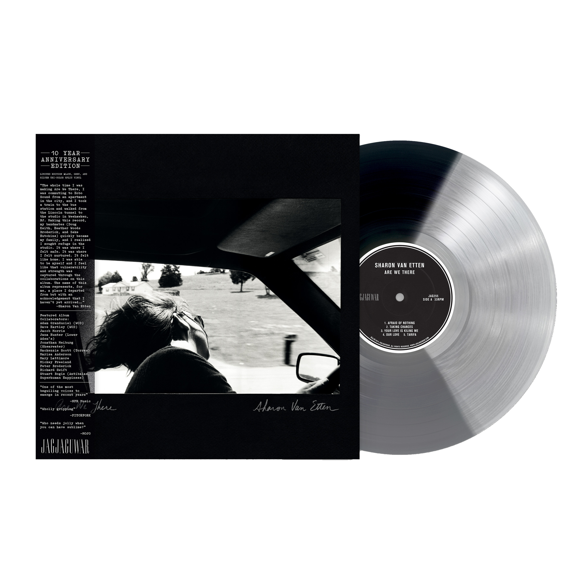 Are We There (10th Anniversary): Limited Black, Grey and Silver Tri-Color Split Vinyl LP
