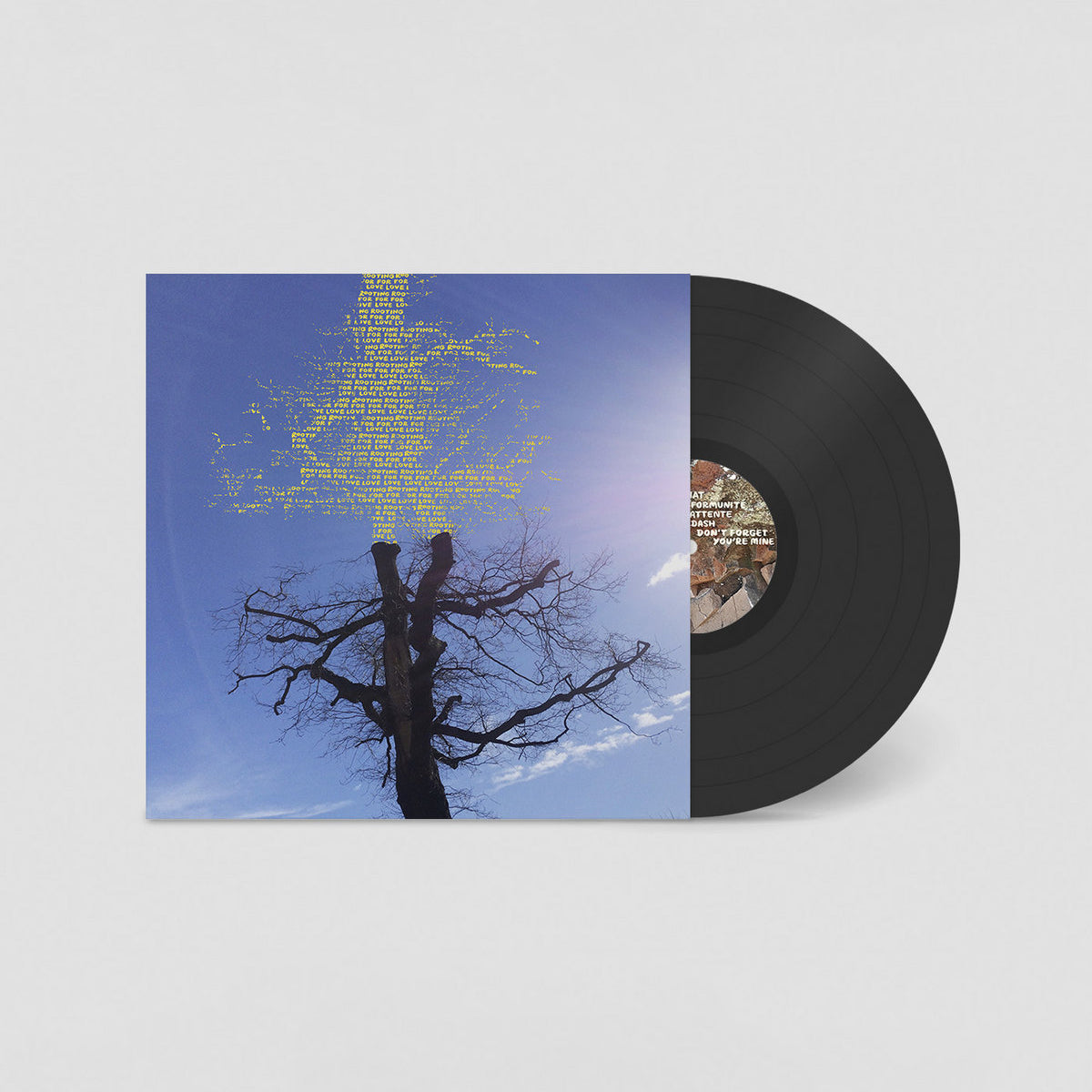 Laetitia Sadier - Rooting For Love: Vinyl LP