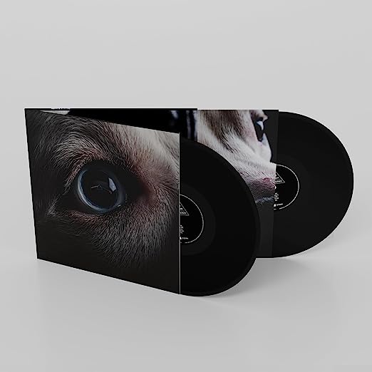 Roger Waters (Pink Floyd) - The Dark Side of the Moon Redux: Vinyl 2LP