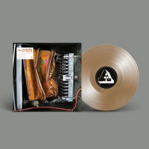 A Life Diagrammatic: Special Edition Metallic Sand Colour Vinyl LP + Signed Print