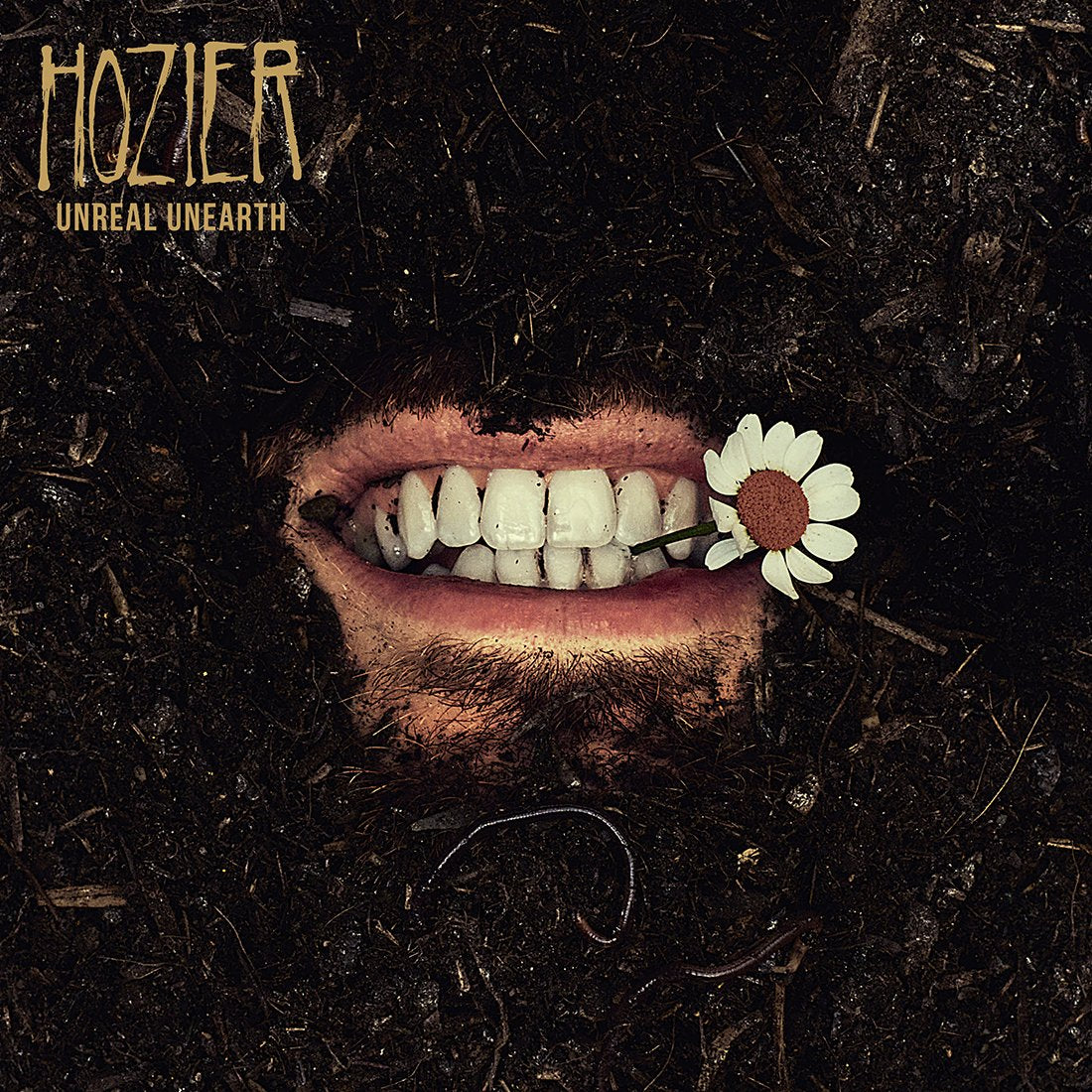 Hozier - Unreal Unearth: Unsigned Art Print