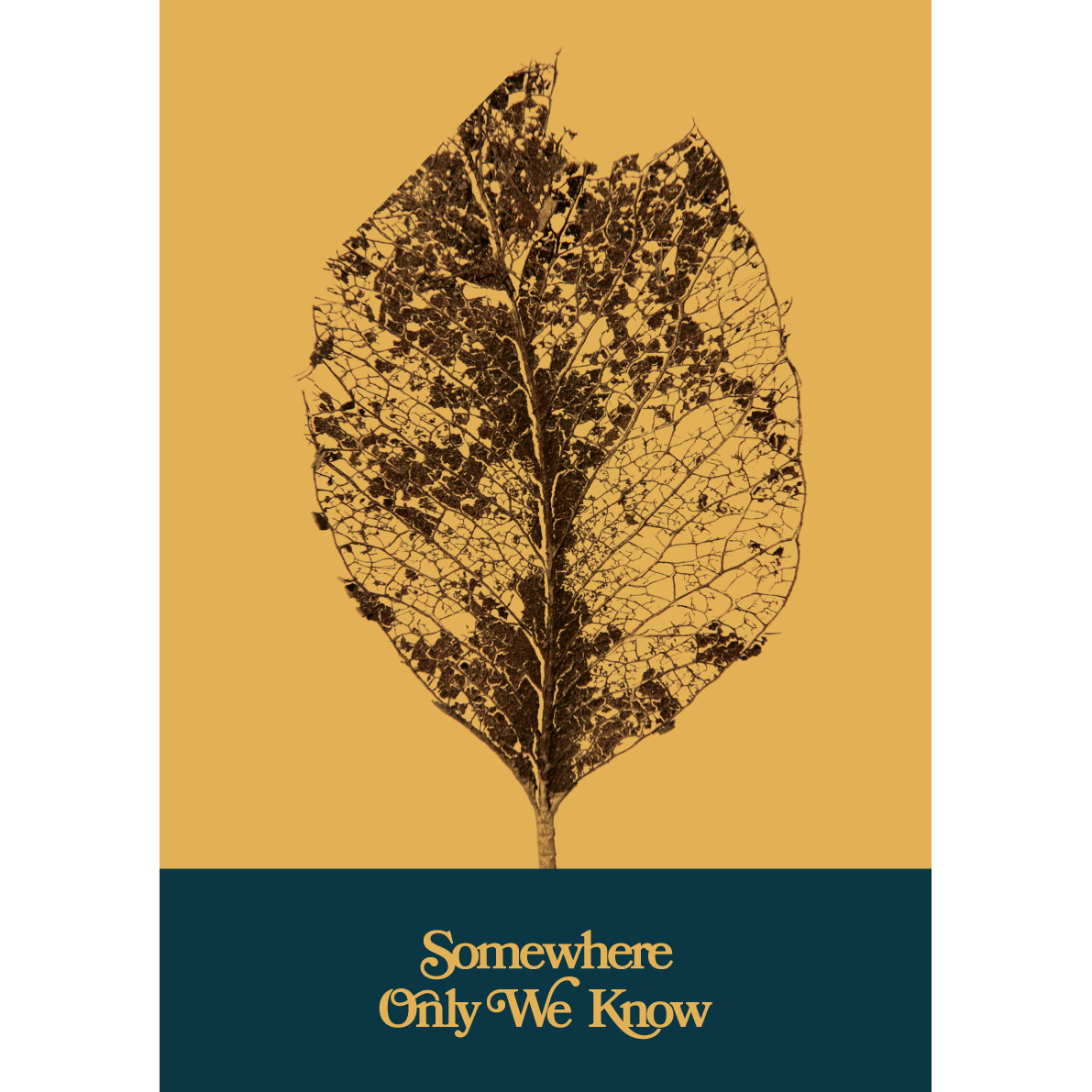 Keane - Somewhere Only We Know (Spotify Fans First Exclusive Print)