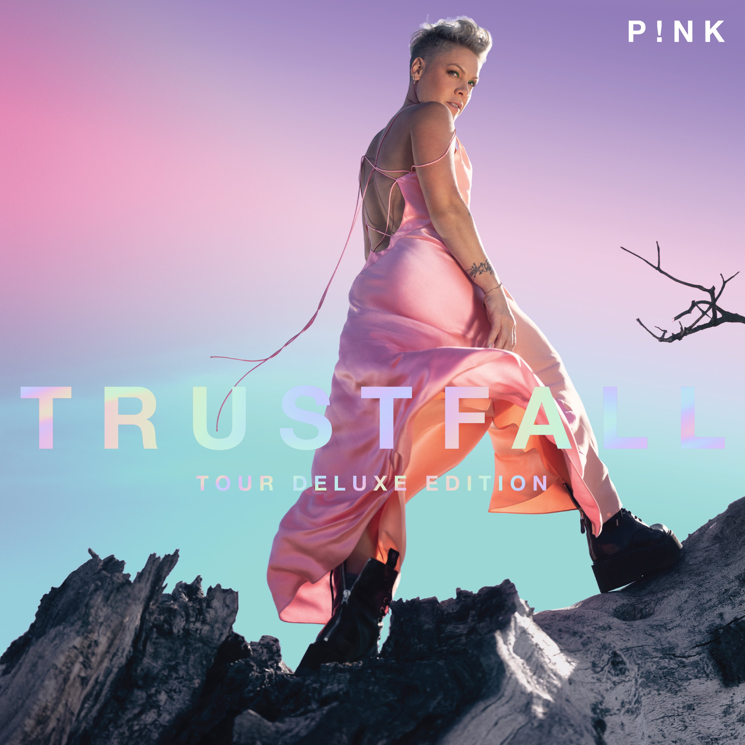Pink - Trustfall - Tour Deluxe Edition: 2CD