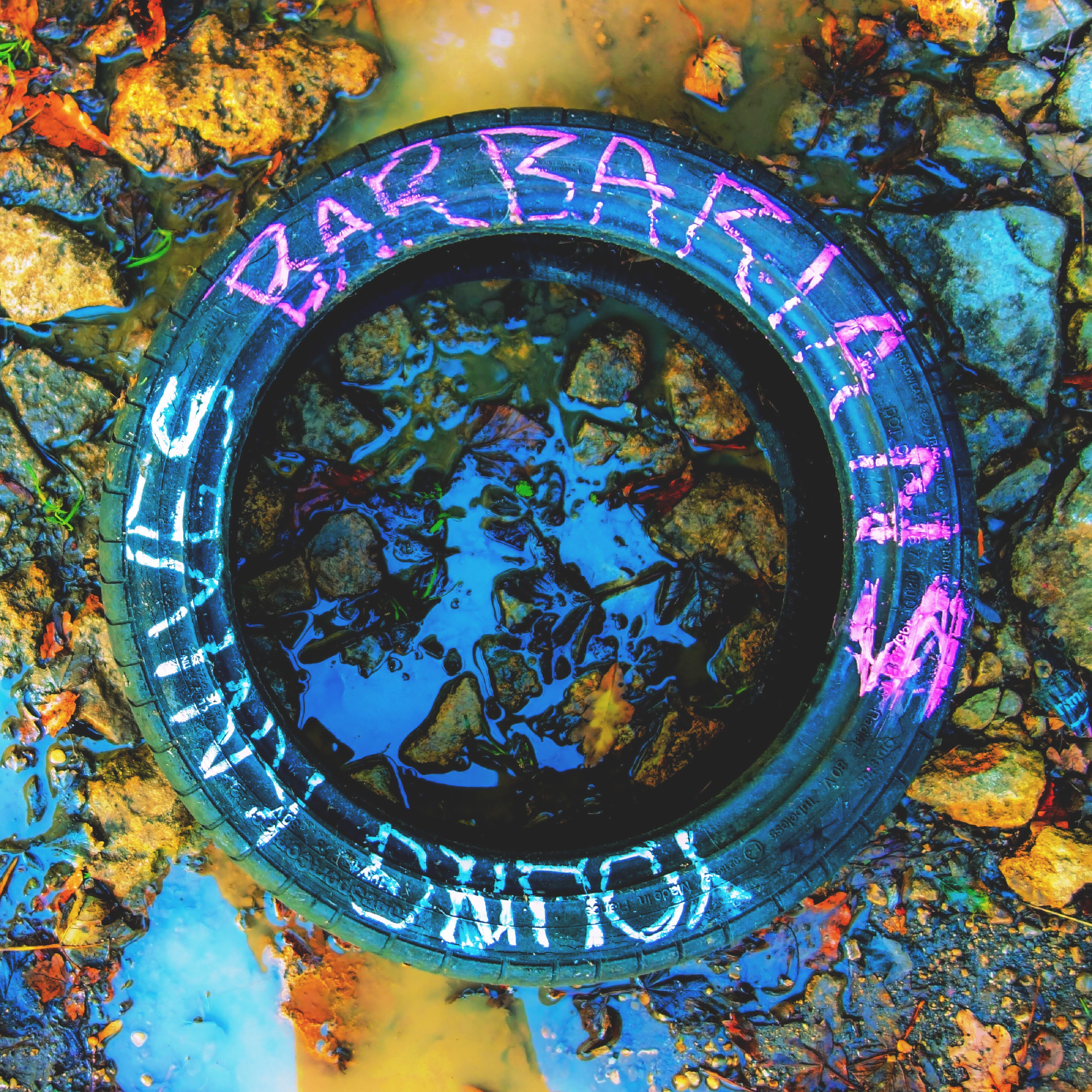 Young Knives - Barbarians: CD