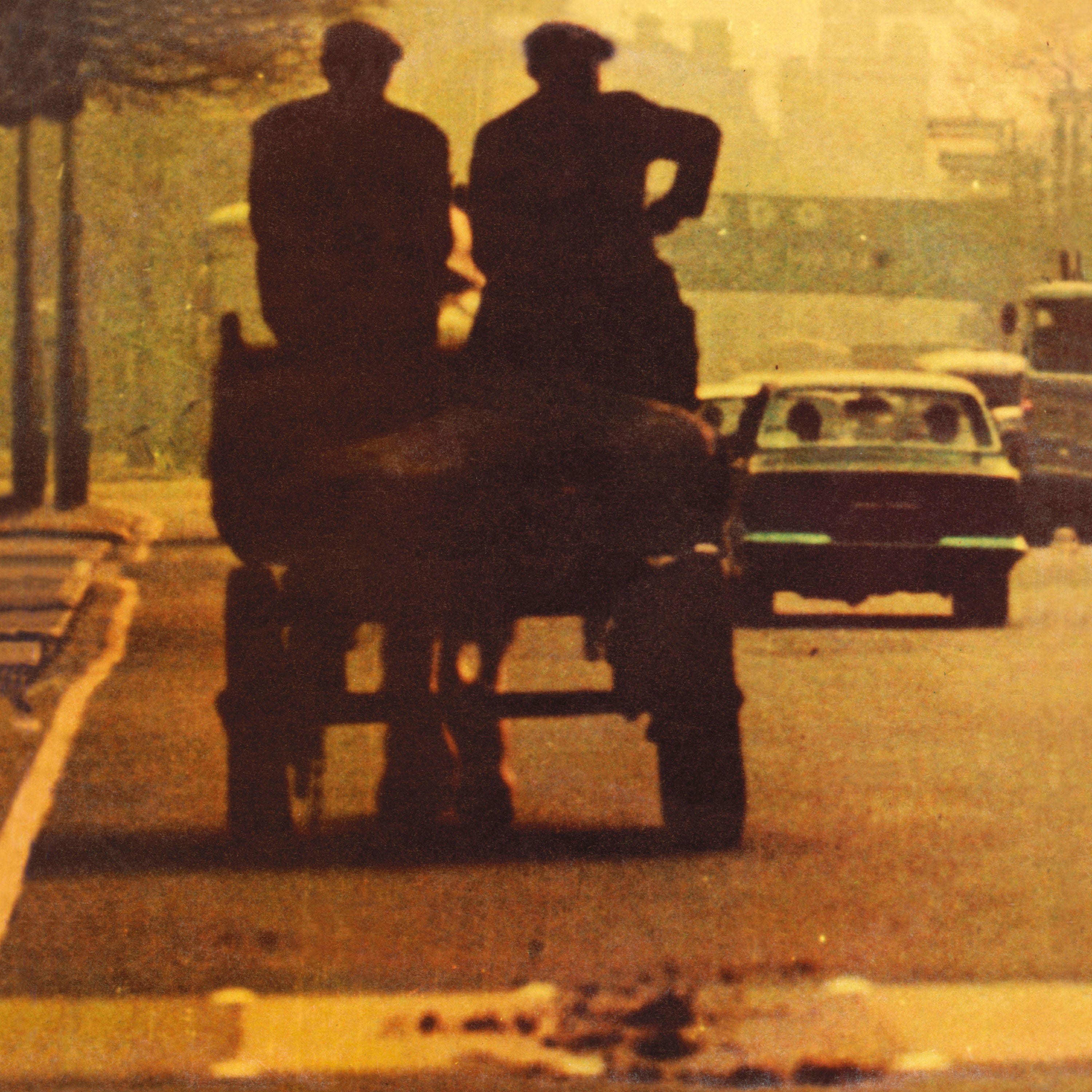 Ronnie Lane - Anymore For Anymore: Vinyl LP