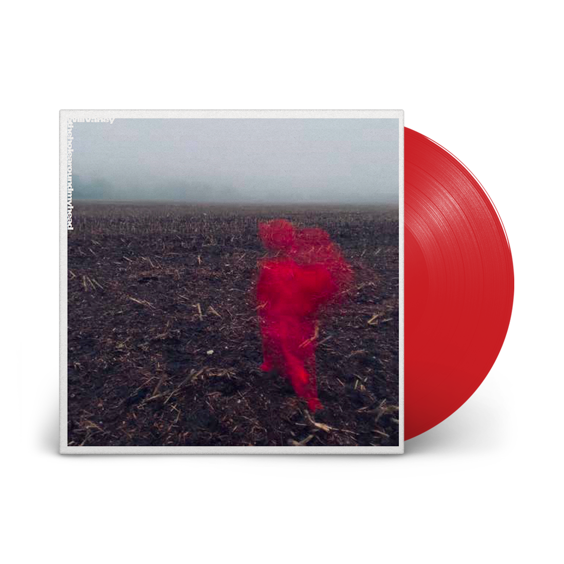 The Hole Around My Head: Limited Edition Red Vinyl LP