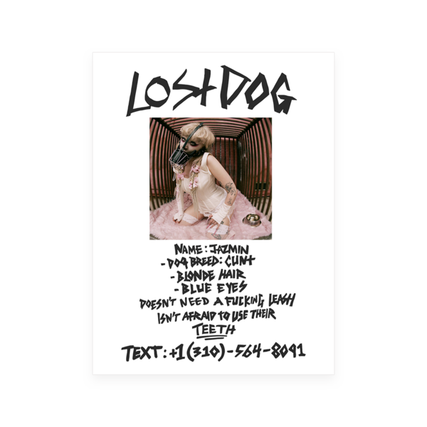 Jazmin Bean - Lost Dog Litho Poster