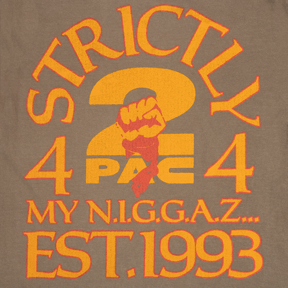 2Pac - 1993: T-Shirt