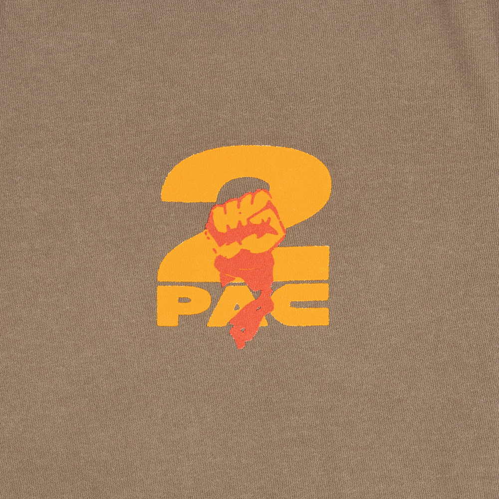 2Pac - 1993: T-Shirt