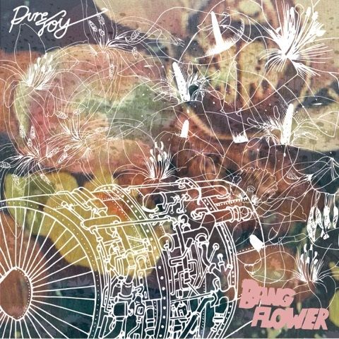 Pure Joy - Bang Flower: CD