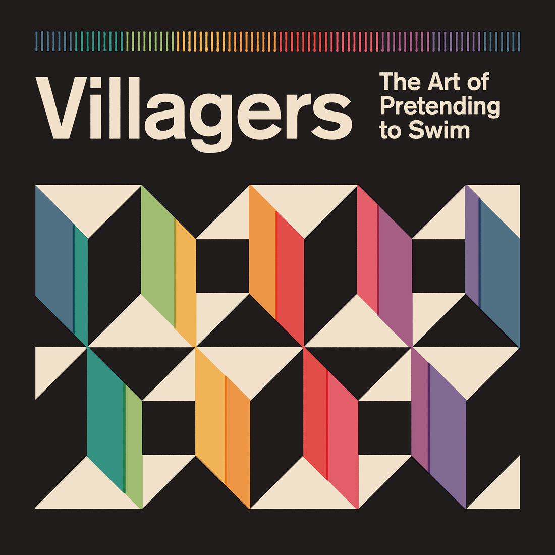 Villagers - The Art of Pretending to Swim: Signed CD