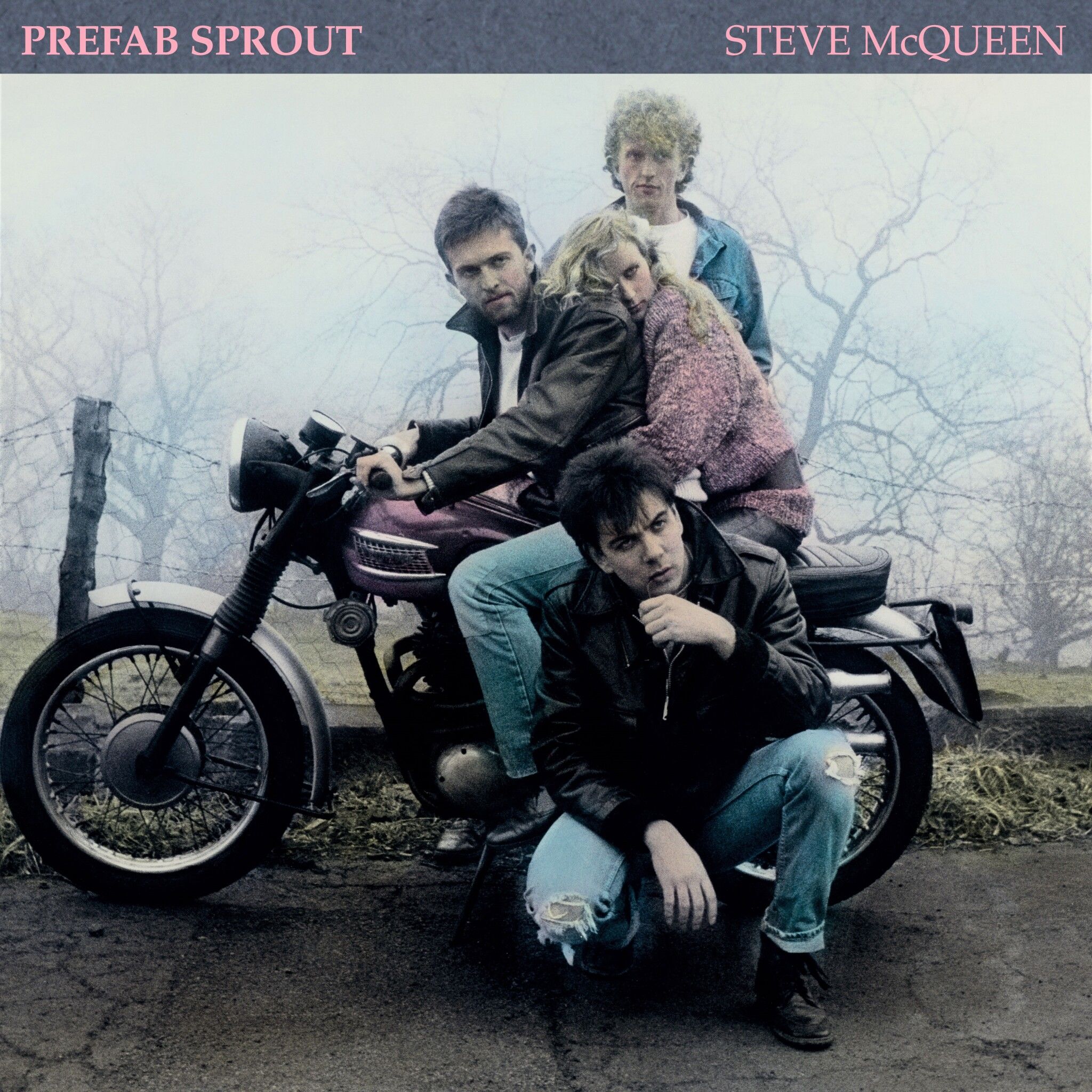 Steve McQueen (2019 Remastered Edition): Vinyl LP