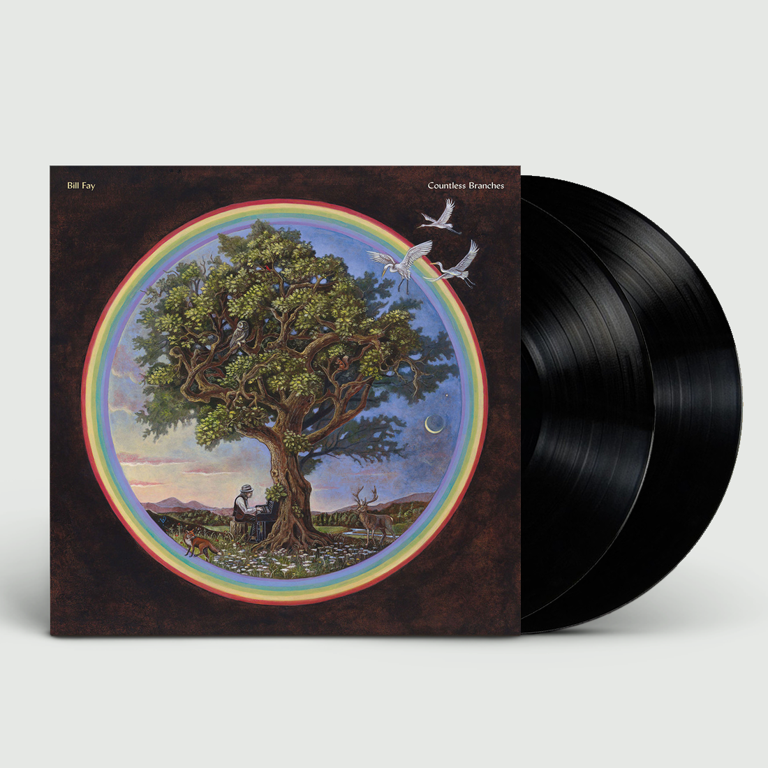 Countless Branches: Deluxe Vinyl 2LP