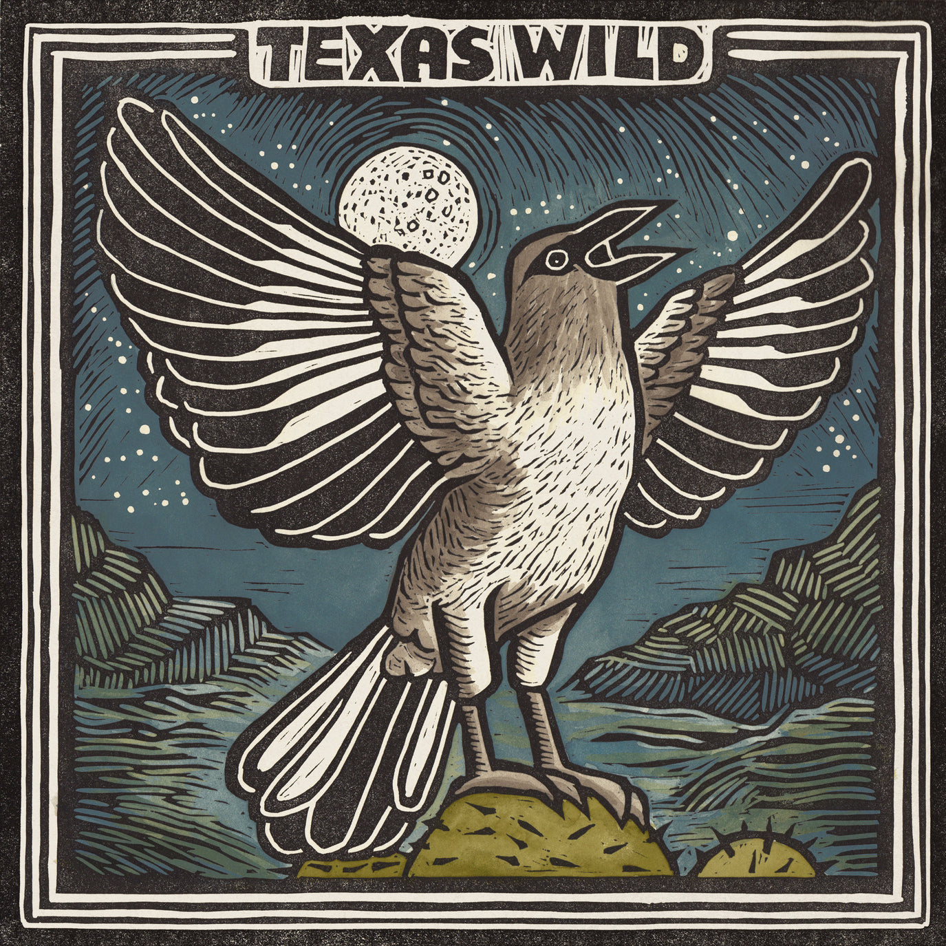 Various Artists - Texas Wild: CD