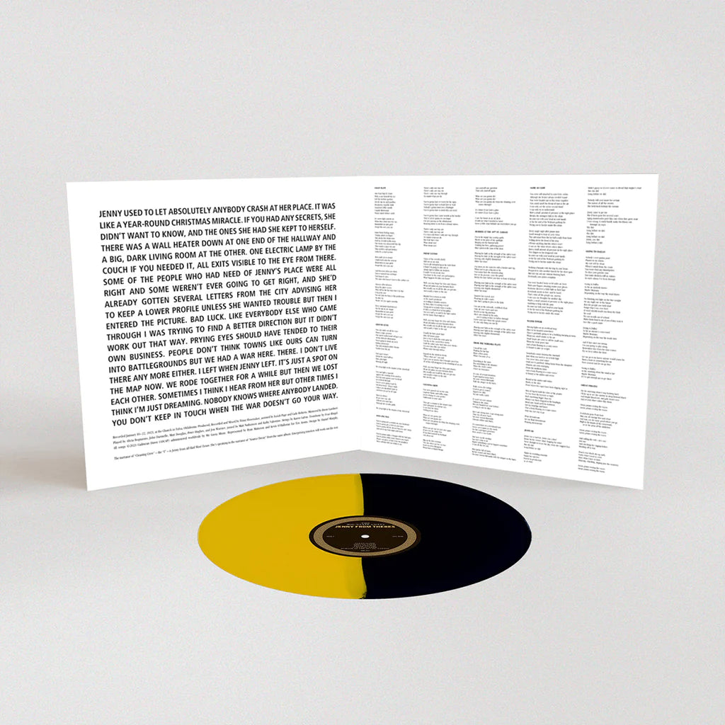 The Mountain Goats - Jenny from Thebes: Yellow & Black Vinyl LP