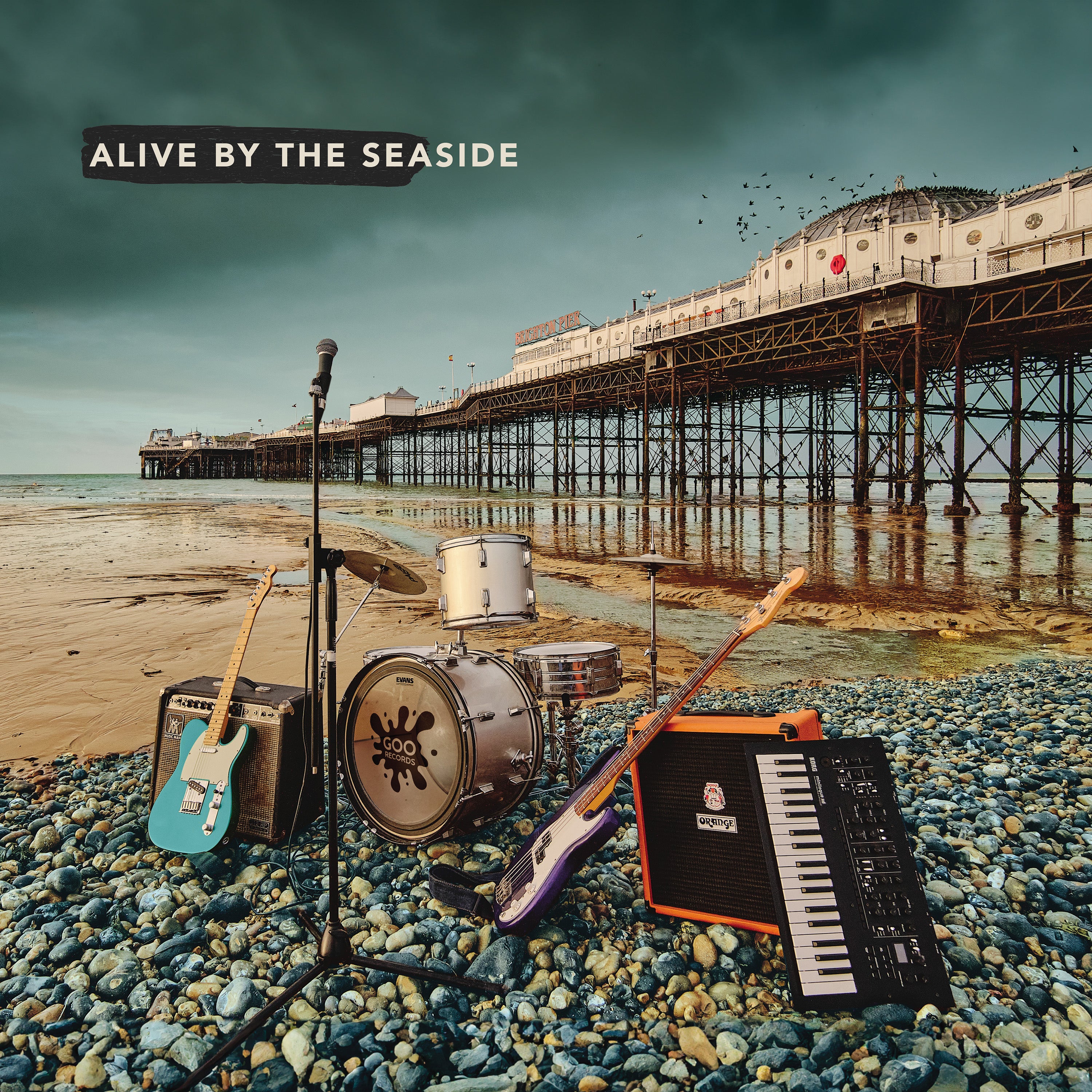Various Artists - Alive By The Seaside: CD
