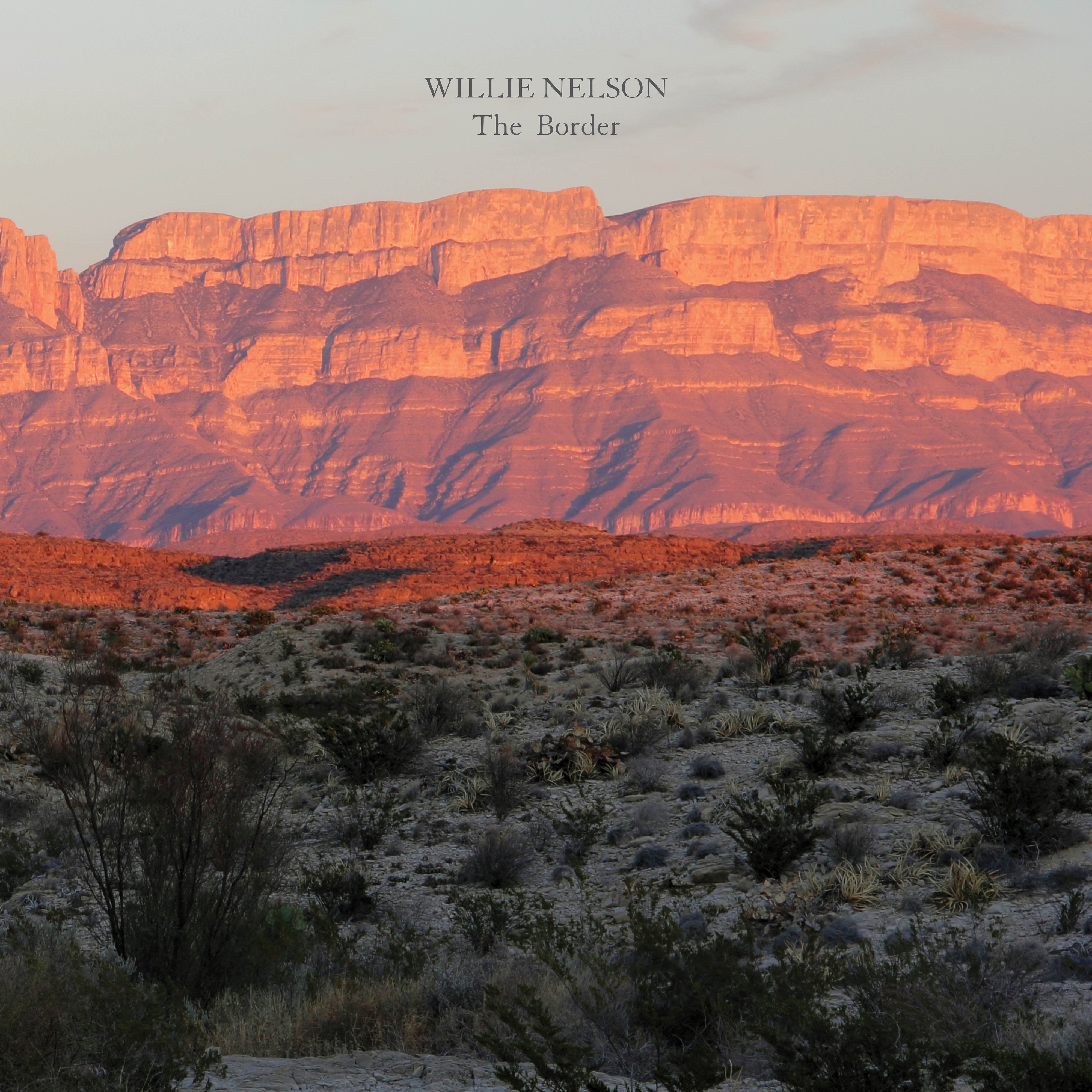 Willie Nelson - The Border: Vinyl LP