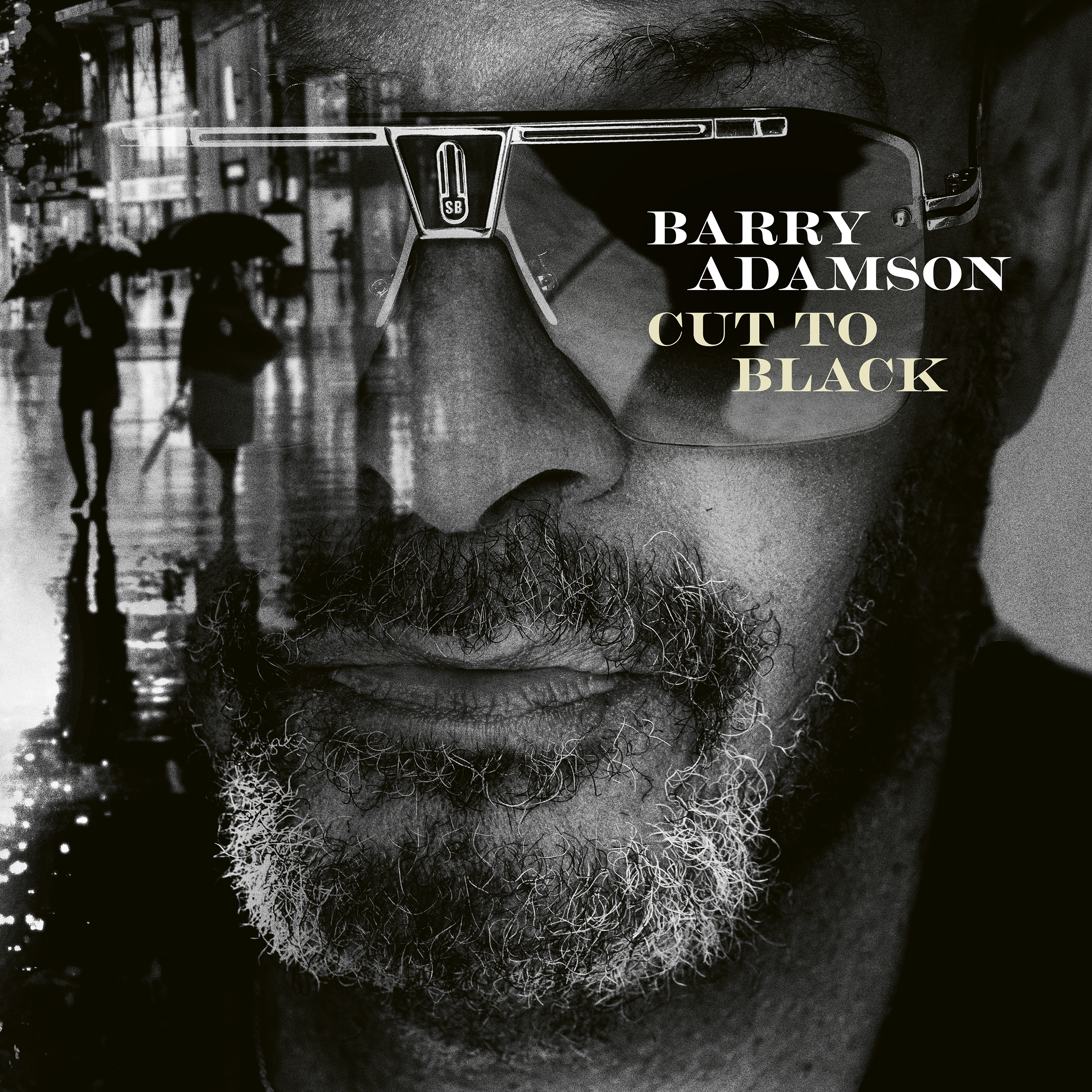 Barry Adamson - Cut To Black: CD