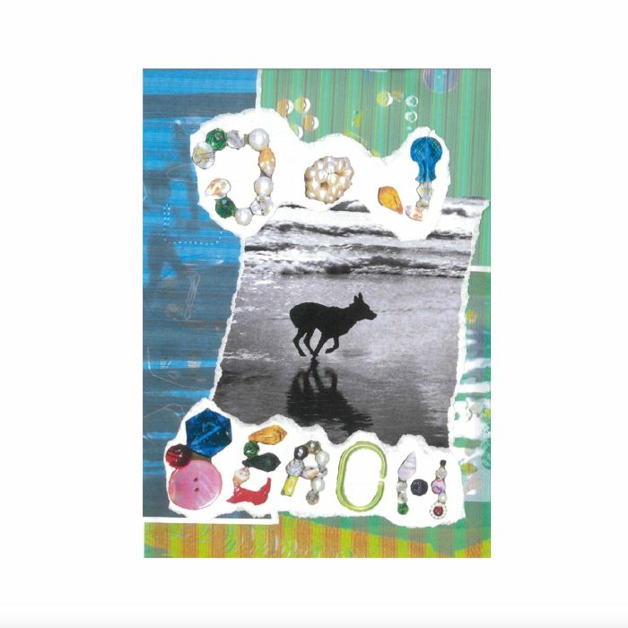 Merryn Jeann - Dog Beach: Vinyl LP