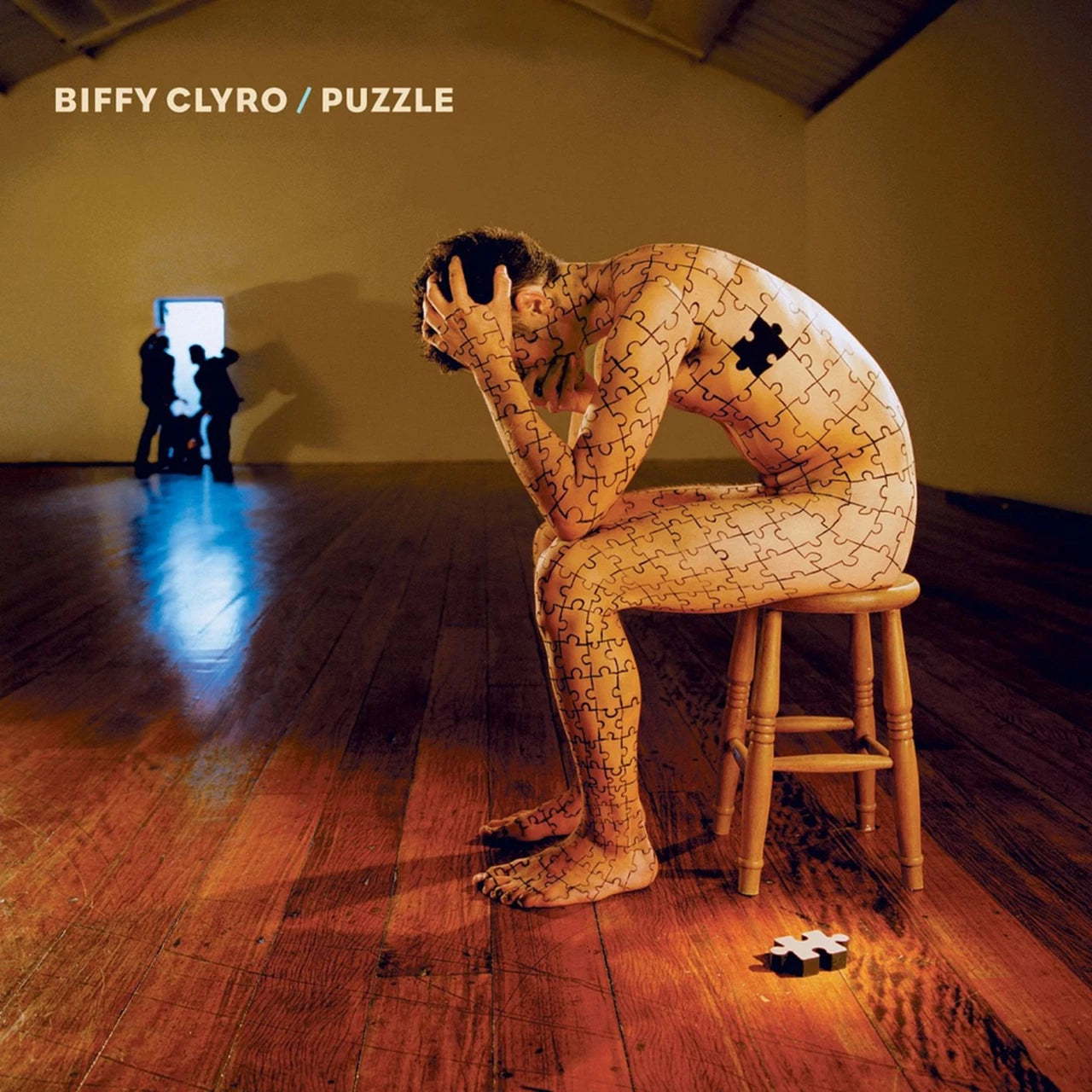 Biffy Clyro - Puzzle: Vinyl 2LP
