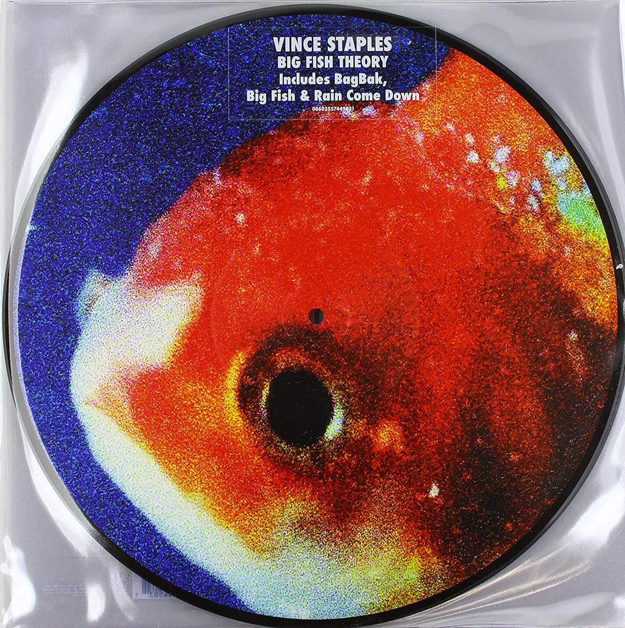 Vince Staples - Big Fish Theory: Picture Disc Vinyl LP