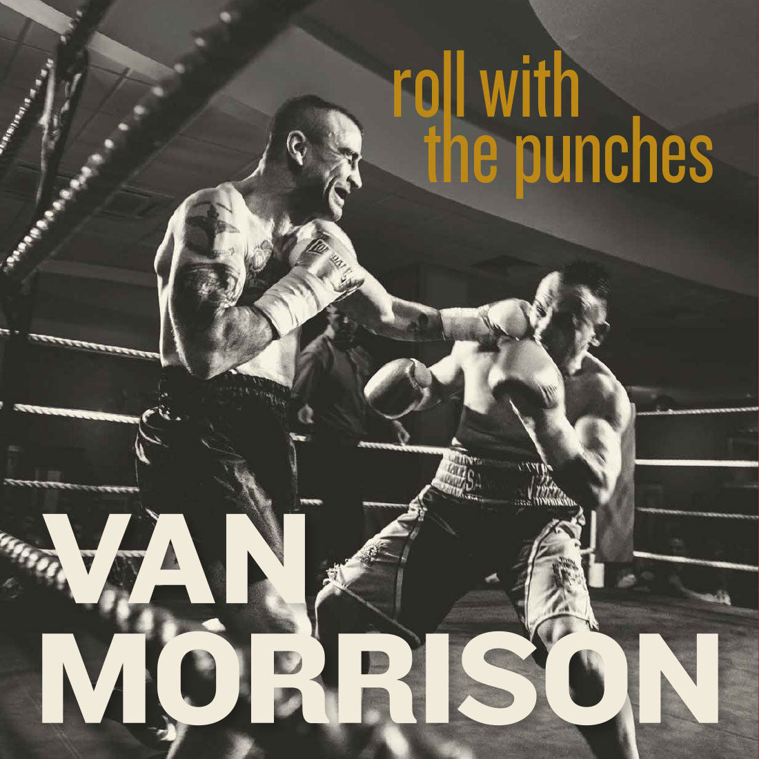 Van Morrison - Roll With The Punches: CD 