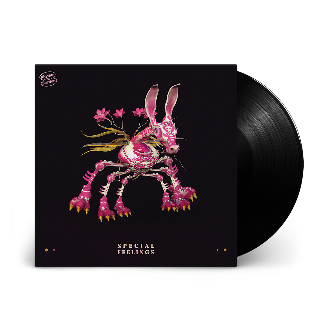 Special Feelings - Special Feelings: Vinyl LP