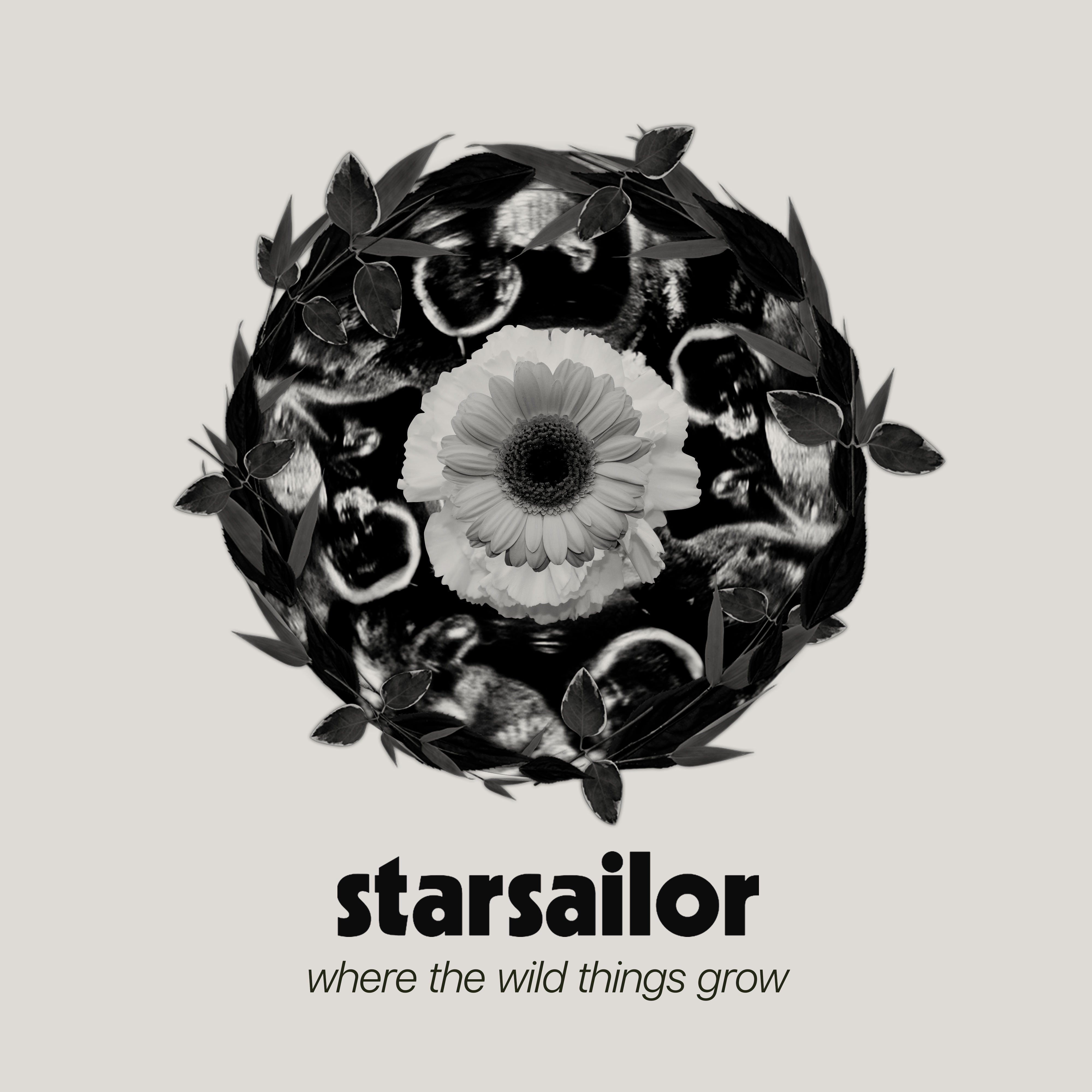 Starsailor - Where The Wild Things Grow: CD