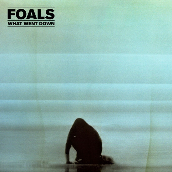 Foals - What Went Down: Vinyl LP